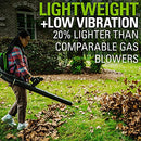 Greenworks 80V (180 MPH / 610 CFM / 75+ Compatible Tools) Cordless Brushless Backpack Blower, 2.5Ah Battery and Rapid Charger Included, Green/Black