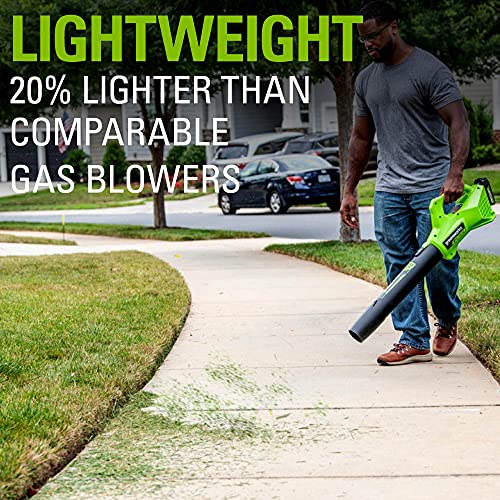 Greenworks 24V (90 MPH / 320 CFM / 125+ Compatible Tools) Cordless Axial Leaf Blower, Tool Only