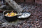 Lodge L10DCO3 Cast Iron Deep Camp Dutch Oven, Pre-Seasoned, 5-Quart