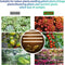 USB LED Grow Light Plant Full Spectrum Dimmable Indoor Flower Indoor Strip Lamp (30CM/168LED(4X Strip))