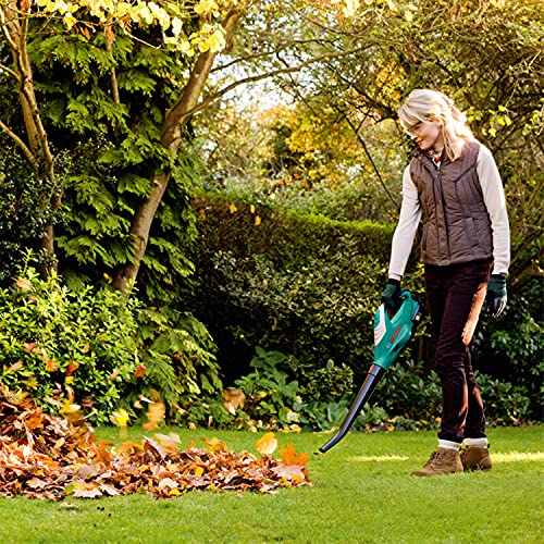 Bosch Home & Garden 18V Cordless Garden Leaf Dust Blower Kit without Battery, Handheld, 210 Km/h, (ALB 18 Li)