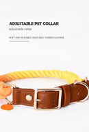 Premium Leather Pet Collar and Leash - Soft, Strong Braided Rope (Wine red - Size M)