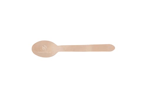 125 Disposable Leaf/Bamboo Plates and Cutlery Pack for a 25 People Eco Dinner Party | Compostable | Eco Friendly | Bio Degradable | Sturdy Than Paper Plastic Plate