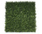 Premium Natural Buxus Hedge Panels UV Resistant 1m x 1m