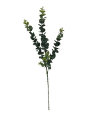 5 Pack - Long Eucalyptus Stem 77 cm