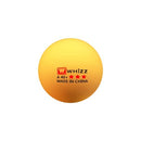 Ping Pong Balls, 2.8g A40+mm ABS New Material 3 Star Jointless Professional Ping Pong Balls Orange 100 Pack Advanced Table Tennis Training Balls for Sport Competition