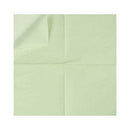 100 Pack Cocktail Napkin 2-Ply Dessert Napkins Folded 5 x 5 Inches Disposable Napkins for Dinner Wedding Birthday Party Bridal Anniversary Reception Event (100, Sage Green)