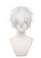 COSPLAZA Seishiro Nagi Blue Lock Anime Wigs Short Fluffy Silver White Hair Men Boy Halloween Cosplay Costume Wigs