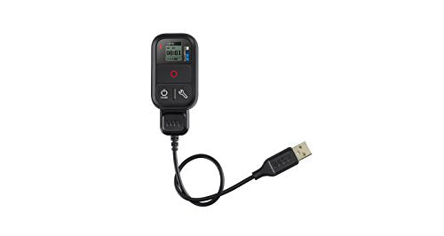 GoPro ARMTE-002 Smart Remote - Asia DVC Accessories,Black