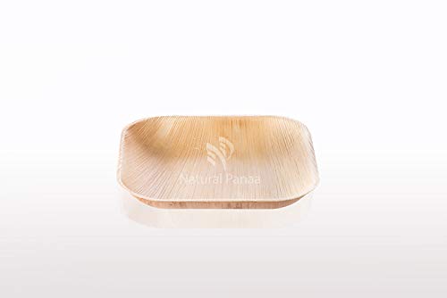 100 Disposable Plates Ecofriendly Compostable Biodegradable Dinner Party Plate - Comparable to Bamboo Wood Fiber -100 in a Box (100 * 15 CM Square Flat Plate)