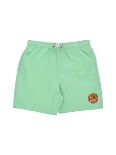 Santa Cruz Class Dot Swim Shorts - Apple Mint, Apple Mint, L