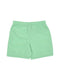 Santa Cruz Class Dot Swim Shorts - Apple Mint, Apple Mint, L