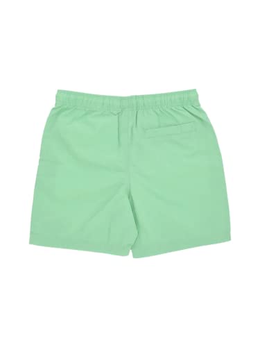 Santa Cruz Class Dot Swim Shorts - Apple Mint, Apple Mint, L