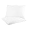 Tontine Goodnight Allergy Sensitive Firm Pillow, 2 Pack