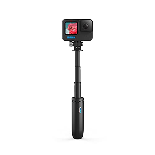 GoPro AFTTM-001 Shorty (Mini Extension Pole + Tripod) DVC Accessories,Black