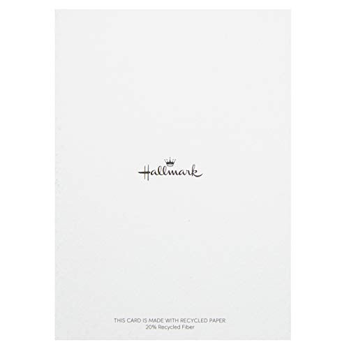Hallmark Religious Boxed Christmas Cards Assortment, Gold Foil (48 Cards with Envelopes)