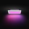 Philips Hue White & Color Ambiance Surimu Panel, 30 x 30 cm, Dimmable, Up to 16 Million Colours, Controllable via App, Compatible with Amazon Alexa (Echo, Echo Dot)