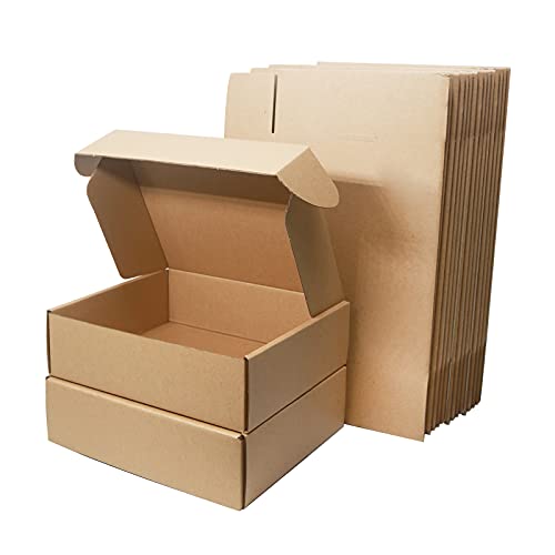 Corrugated Cardboard Shipping Boxes, 250x200x70mm Small Parcel Boxes, Packaging Mailing Boxes for Business, Posting, Small Packet Shipping, Storing or Gift(Pack of 10)