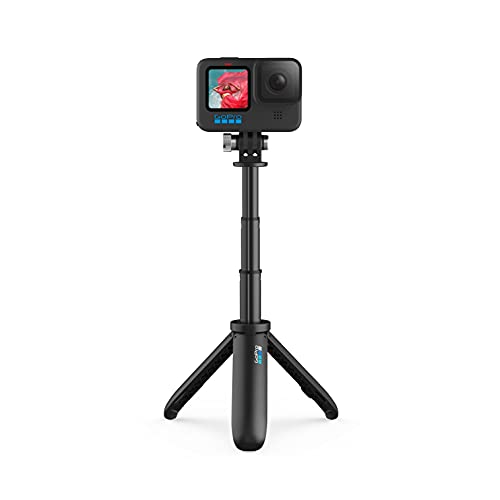 GoPro AFTTM-001 Shorty (Mini Extension Pole + Tripod) DVC Accessories,Black