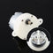 DC 12V Gear Motor High Torque Slow Speed Micro Electric Motor Gearbox 3 RPM 4mm Shaft Diameter