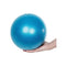 Small Exercise Ball - Anti-Burst Non-Slip,Stability,9 Inch,with Inflatable Straw,Mini Pilates Balls Ideal for Yoga Exercise Pilates Physical Therapy Stretching Core Fitness