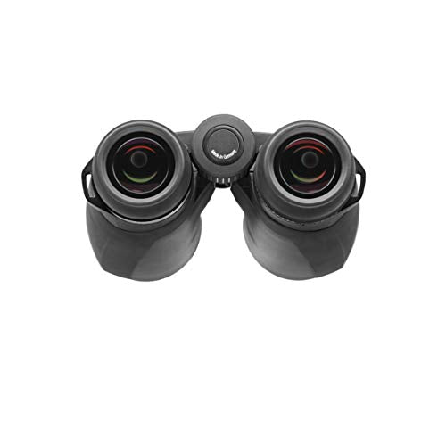 Zeiss 10x32 Conquest HD Binocular with LotuTec Protective Coating (Black)