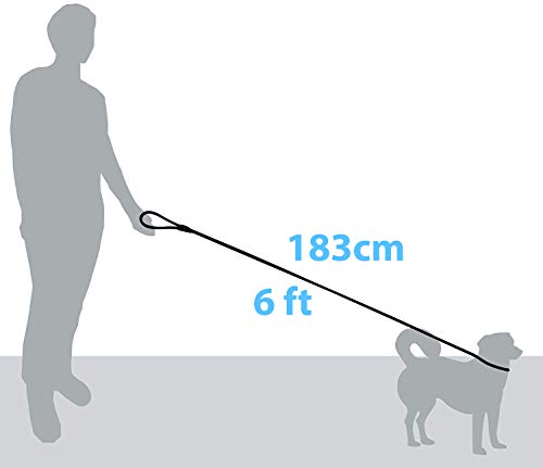 Zenify Pets Dog Lead - Durable Strong Chew Resistant Slip Lead Nylon Rope Padded Handle Mountain Climbing Harness Pet Puppy Training Slipknot Leash for Walking [1.2cm Thick 183cm Long] (Pink 6ft)…
