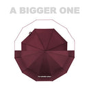 Feimvb Travel Umbrella, Windproof Automatic Umbrella Compact Sized Portable Personal Umbrella with 10 Rib Reinforced Canopy and Auto Open & Close Function, (burgundy)