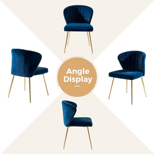 HULALA HOME Velvet Dining Chairs, Modern Small Armless Accent Chair with Gold Metal Legs, Living Room Upholstered Cute Side Chair, Elegant Tufted Back Vanity Chair for Bedroom/Beauty Room-Navy