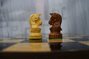 Luxury Chess Set- Wooden Dubrovnik Chessmen with 19" Golden Rosewood Chess Board | Algebraic Notation Board | 2 Extra Queens