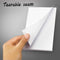 100 Sheets Plain Notepad - 4 x 6" White Blank Memo pad, Scratch Pad for Restaurant Server, Concession Stand, School and Office Supplies 4" x 6" White