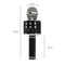 GOMINIMO 4 in 1 Wireless Bluetooth Karaoke Microphone with Record Function: Easy Connect, Rechargeable Battery, Multifunction (Black)