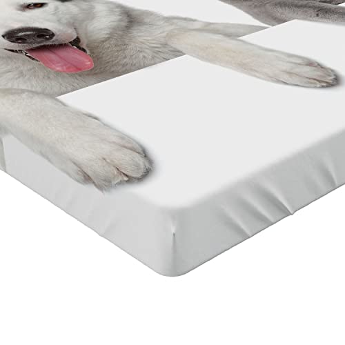 Ambesonne Christmas Fitted Sheet, Dog and Cat in Santa Red Hats Funny Puppy and Kitty Domestic Pet Animal, Bed Cover with All-Round Elastic Deep Pocket for Comfort, Twin XL Size, Grey White