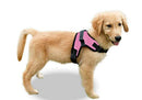 (Large, Pink) - Copatchy No Pull Reflective Adjustable Dog Harness With Handle