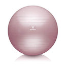 BODYMATE Exercise Ball Sitting Ball Training Ball with Free E-Book Including Air Pump, Ball for Fitness, Yoga, Gymnastics, Core Training, for Strong Back as Office Chair Rose 65 cm