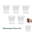 Clear Orchid Pots with Holes and Saucers,Flower Pots for Indoor Outdoor (5 Set Clear)