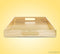 (Gold) - Beautiful Modern Elegant Gold 46cm x 30cm Rectangle Glossy Alligator Croc Decorative Ottoman Coffee Table Perfume Living Dining Room Kitchen Serving Tray With Handles By Home Trends For All Occassion's