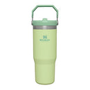 Stanley IceFlow Stainless Steel Tumbler with Straw - Vacuum Insulated Water Bottle for Home, Office or Car - Reusable Cup, Leakproof Flip -Cold for 12 Hours or Iced for 2 Days (Citron), 30oz