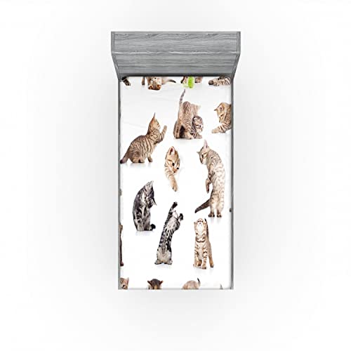 Ambesonne Cat Fitted Sheet, Illustration of Funny Playful Cats on Plain Background Animals Kitten Pattern, Soft Decorative Fabric Bedding All-Round Elastic Pocket, Twin Size, Black Beige