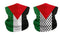 2pcs Palestine Flag Bandana Scarf Face Mask Cover,Palestine Elastic Multifunctional Headband Gaiter,Neck Gaiter Balaclava Face Mask for Men Women (flag)