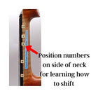 Fantastic Finger Guide for Violins Kids/Adult Beginner | Stringed Musical Instruments | Fingerboard and Fretboard Stickers for Learning All Notes | Play or Fiddle, 4/4-Size