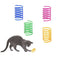 Cat Spiral Spring, 12 Pc Cat Creative Toy to Kill Time and Keep Fit Interactive cat Toy Durable Heavy Plastic Spring Colorful Springs Cat Toy for Swatting, Biting, Hunting Kitten Toys