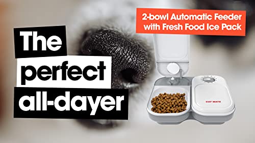 Cat Mate C200 2 Meal Automatic Pet Feeder for Cats and Small Dogs with Ice Pack, White
