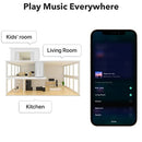 WiiM Mini AirPlay2 Wireless Audio Streamer, Multiroom Stereo, Preamplifier, Compatible with Alexa and Siri Voice Assistants, Stream Hi-Res Audio from Spotify, Amazon Music and More