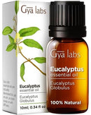 Gya Labs Eucalyptus Essential Oil - 100% Natural Eucalyptus Oil Essential Oils for Diffuser, Skin, Humidifier & Hair (10 ml)