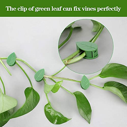 100x Plant Climbing Wall Fixture Hooks Fixing Self-Adhesive Invisible Clips