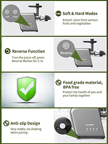 Fruit Vegetable Juicer Machine,Cold Press Slow Masticating Juicer Quiet Motor Easy To Clean,Juice Extractor BPA-Free Dry Pulp Dishwasher Safe for Celery Carrots Beets Greens Ginger Wheatgrass