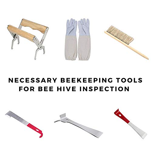 Beekeeping Supplies Beekeeping Tools for Beekeeper Necessary Bee Supplies Beekeeping Starter Kit 14 Pcs The PRO Edition