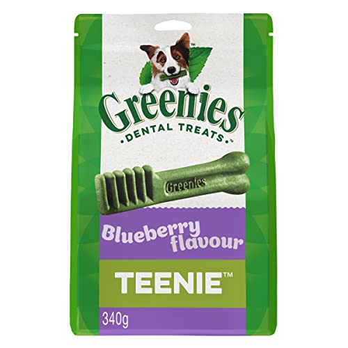 Greenies Blueberry Flavour Teenie Dog Dental Treats 340 g