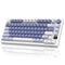 RK ROYAL KLUDGE M75 Gaming Keyboard Wireless 75% TKL Mechanical Keyboard RGB 2.4GHz Wireless/Bluetooth/USB-C QWERTZ with OLED Smart Display and Button Hot Swappable Brown Switch, Lavender Purple